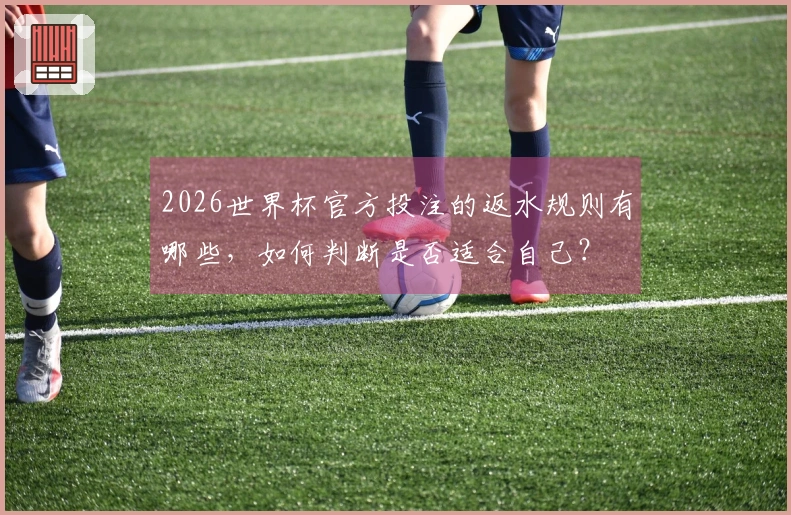 2026世界杯官方投注的返水规则有哪些，如何判断是否适合自己？