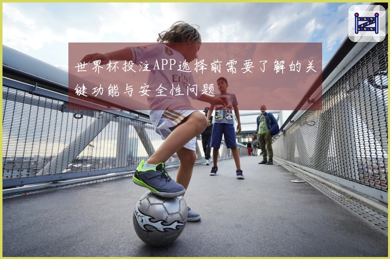 世界杯投注APP选择前需要了解的关键功能与安全性问题