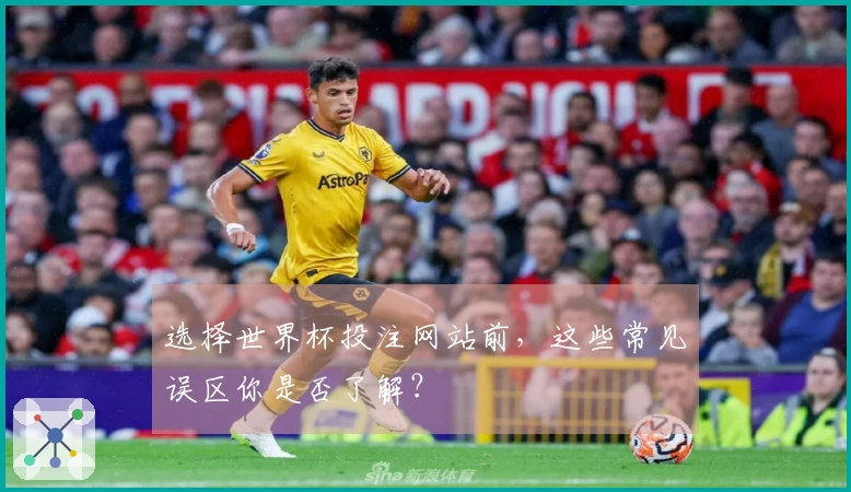 选择世界杯投注网站前，这些常见误区你是否了解？